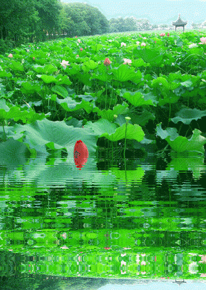 古诗六首 作者 朱良国（江苏）【冰心文化传媒】（图3）