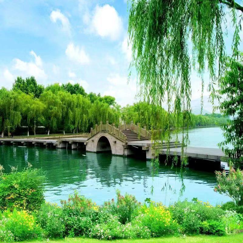 【名家精品】作者/李忠会【都市头条采菊东篱文学社】
