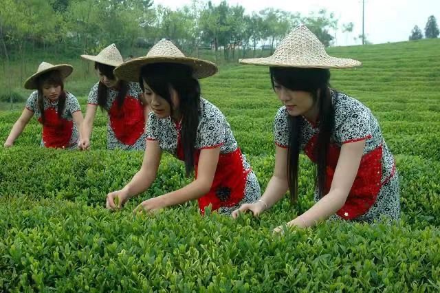 《诗和江花三人挥 笔酣浓墨季月颂》文：众诗人【长安街总社】世界诗人名人展（10151）（图9）