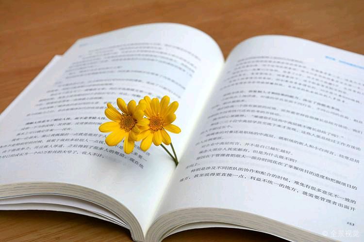 程宝玉〔内蒙古〕诗歌专辑十二【冰心文化传媒】（图24）