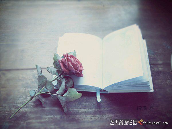 程宝玉〔内蒙古〕诗歌专辑十二【冰心文化传媒】（图20）