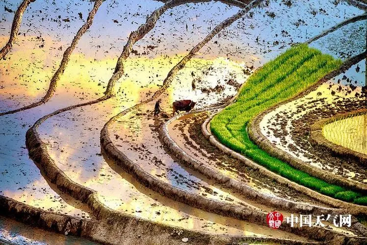 刘凤亭《十六字令·忙》系列诗词联（十五）‖巴彦诗协诗词卷【546】（图4）