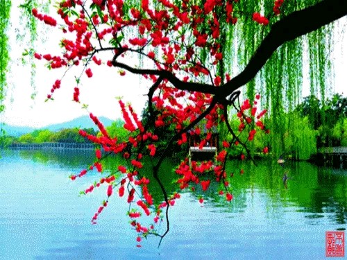 荐赏：曹欣生先生诗词专辑42首（图23）
