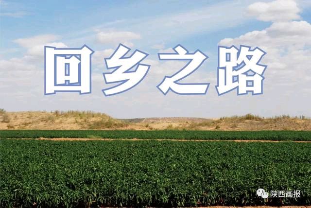 诗词专辑 作者 徐义兴〔重庆〕【冰心文化传媒】主编 冰心（图7）