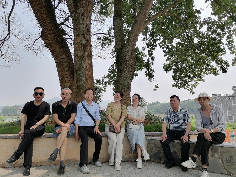 邹丽卿：醉美三板桥（图4）