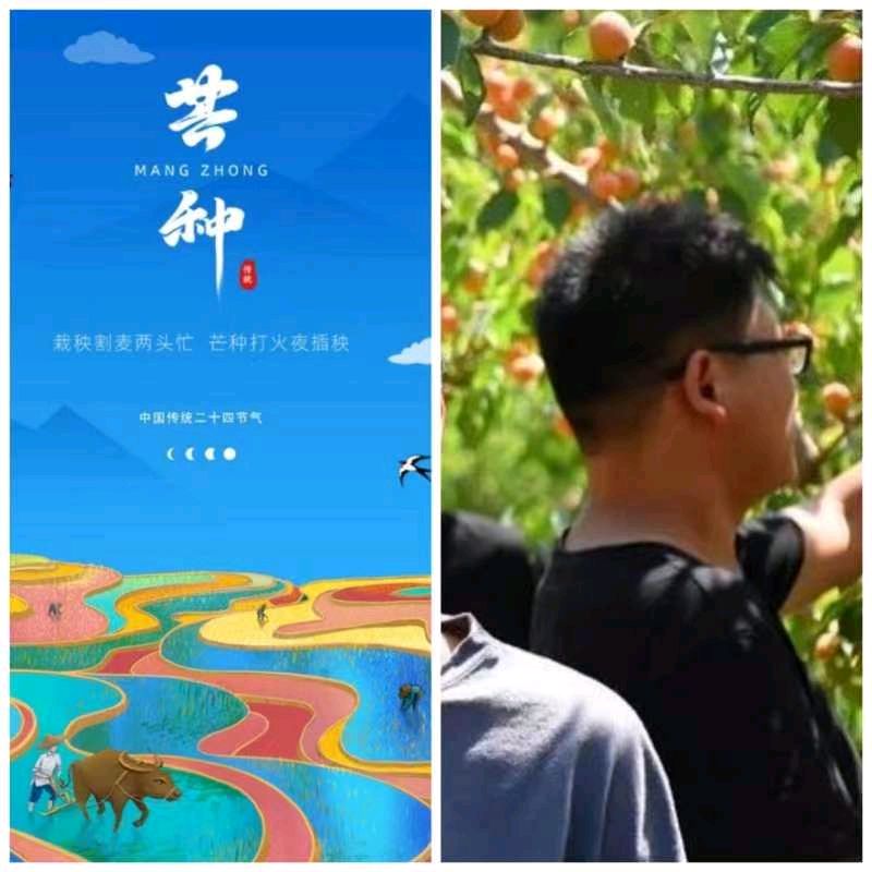 韩庚的《芒种》