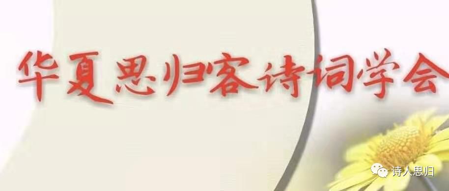 重磅消息……《中华诗词》征稿结束,《世界汉诗》正式开始征稿,希望朋友们踊跃投稿,持续支持思归客(图3)