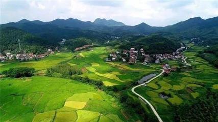 联机全球发布张志作品欣赏（图116）