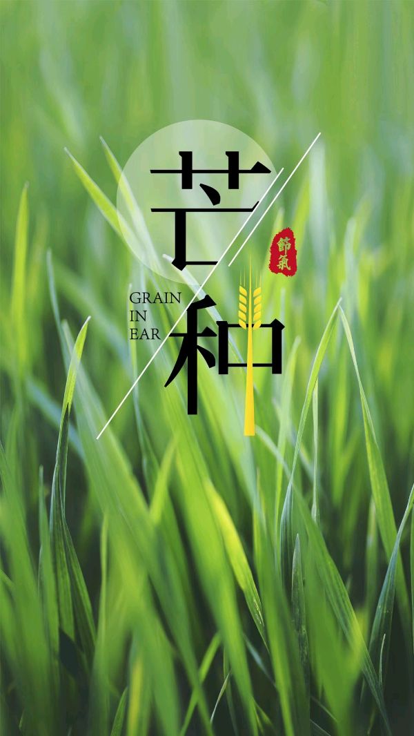 中华诗艺黑龙江分社微刊第104期（图7）
