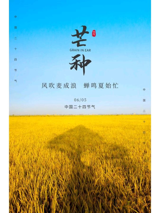 中华诗艺黑龙江分社微刊第104期（图5）