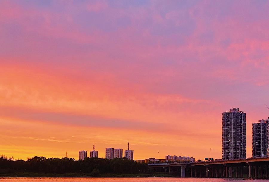 【新诗大观】芒种(外一首)||文/金义(图2)