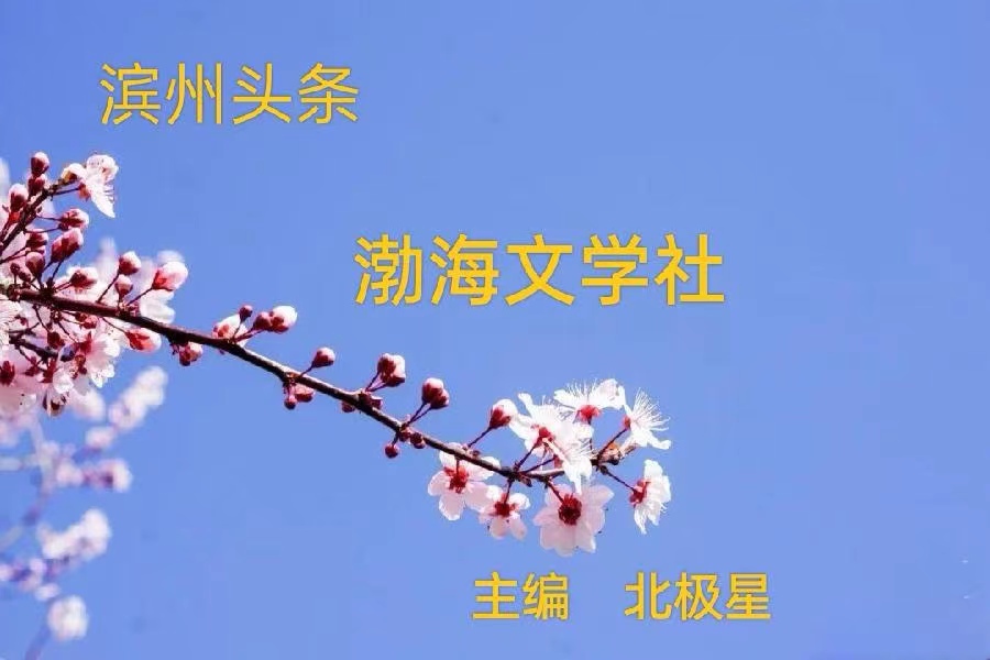 七绝•知已美 (组诗)文/画屏墨语