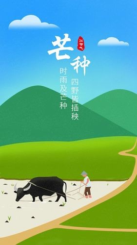 【经典推荐】“农民诗人”曹南强//芒种（外九首）（图2）