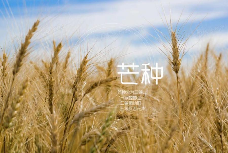 【荣耀中国】芒种同题诗专刊（图3）