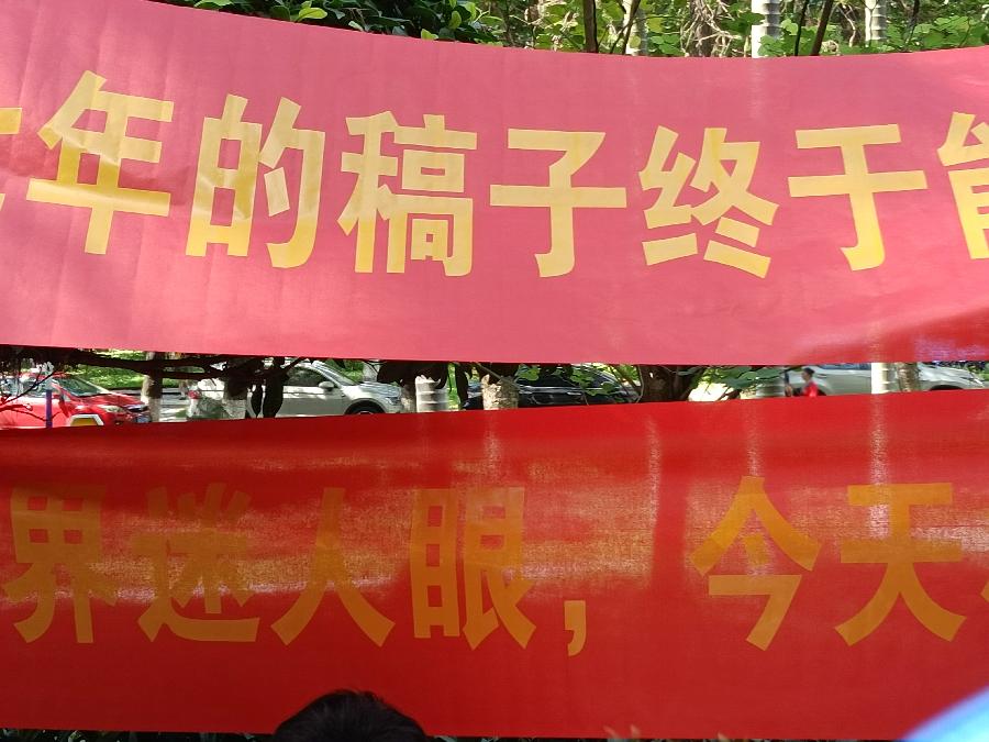 新的一年文/青莲雨润(图22)