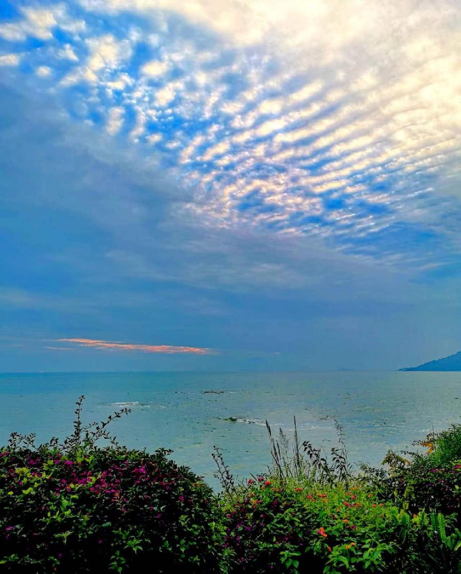 《顿悟》文／磊怀（图14）