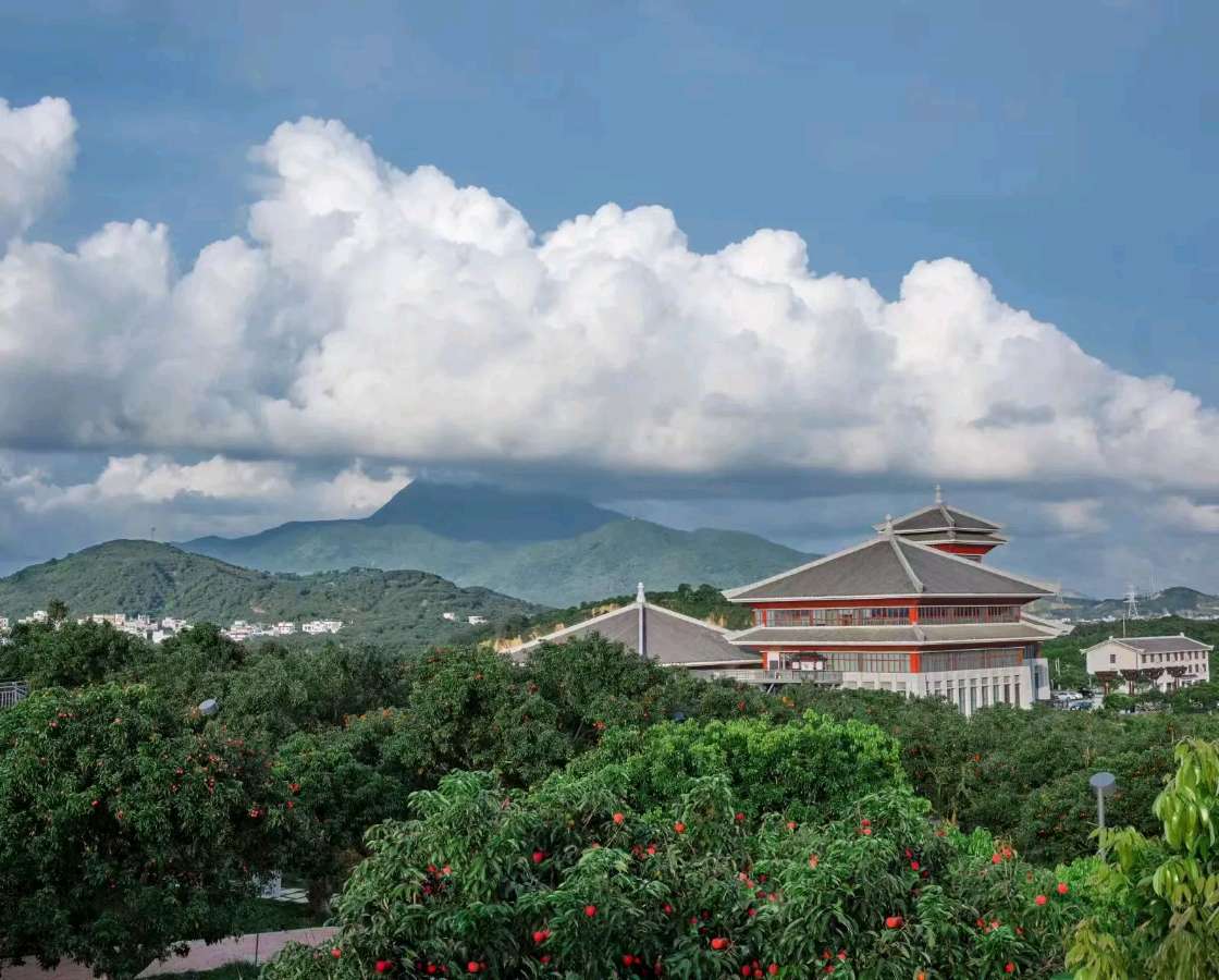首届中国·茂名“荔香杯”全球诗词大奖赛征稿启事‍（图2）