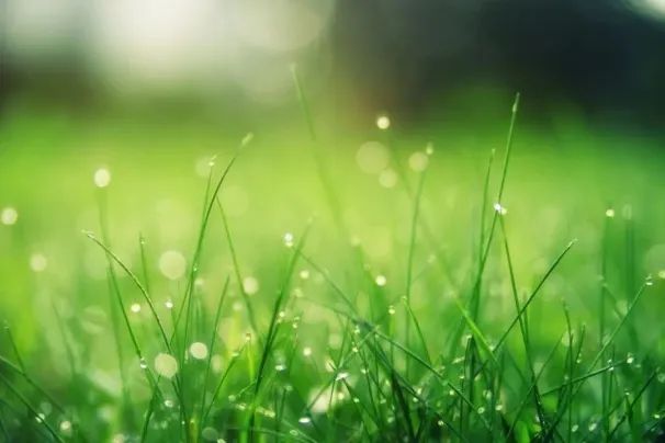 【焦作诗词】红叶诗社同题诗会专辑(图4)