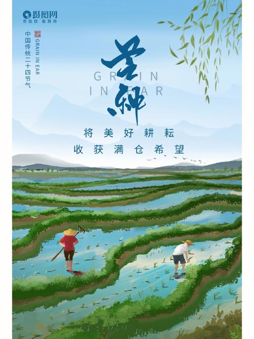 芒种节：文/李忠共（图2）