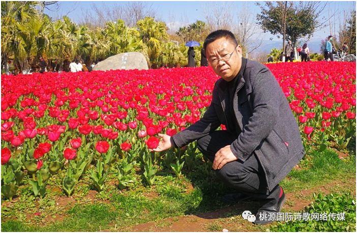 《爱的四季》（组诗）作者:寄语香茗【桃源国际诗歌集团】桃源♥雅文（图10）
