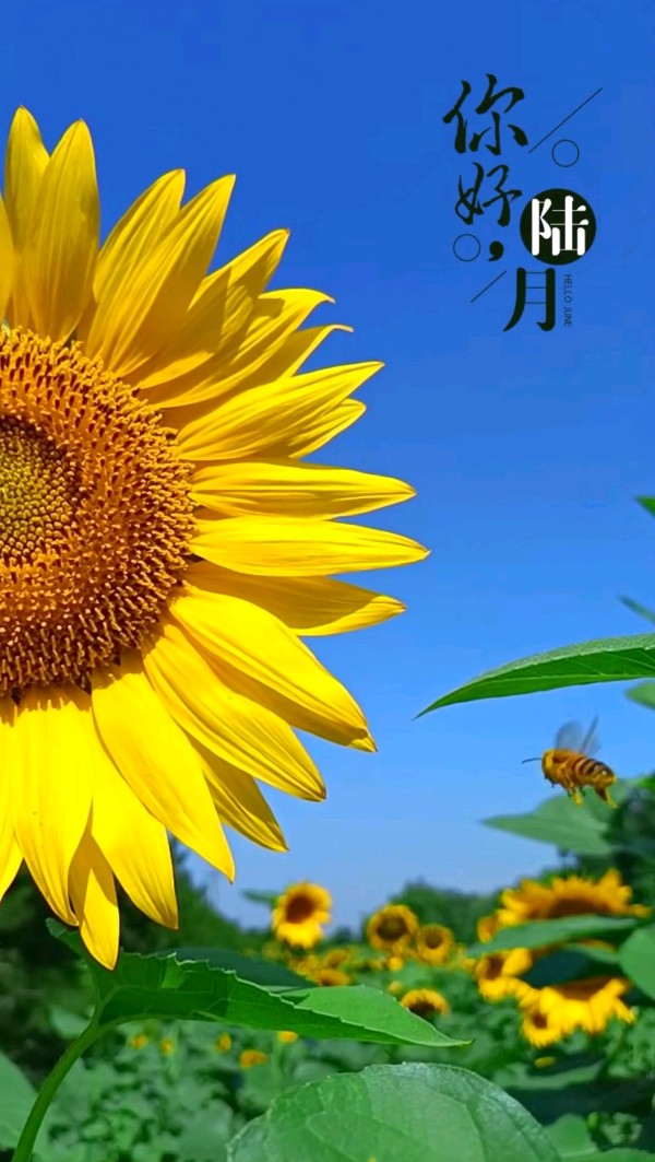 告别昨日的辉煌～诗║李玉海（图13）