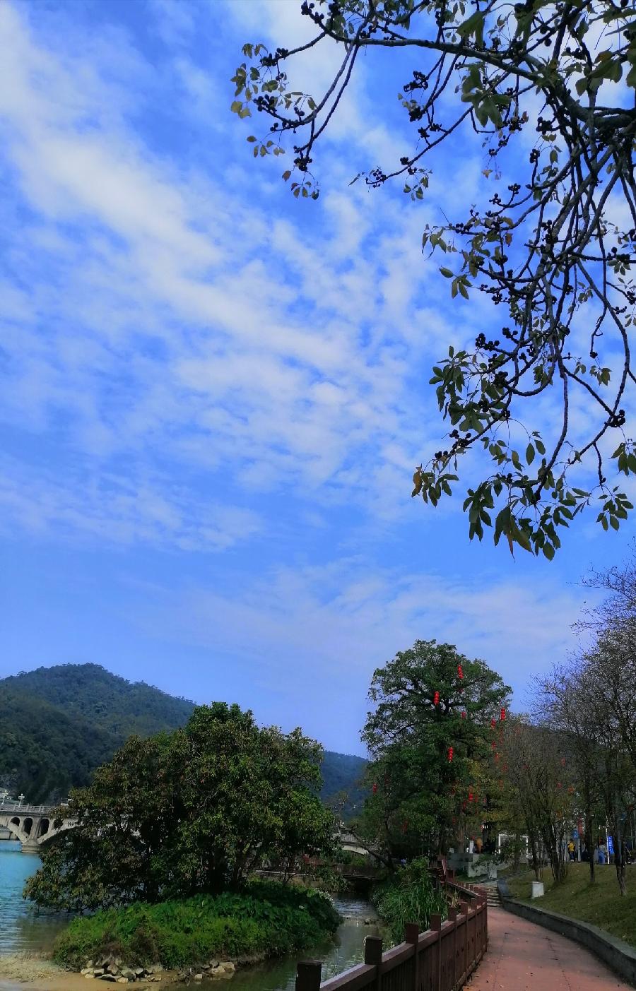 七律 长云别(三首)文/江冲(图3)