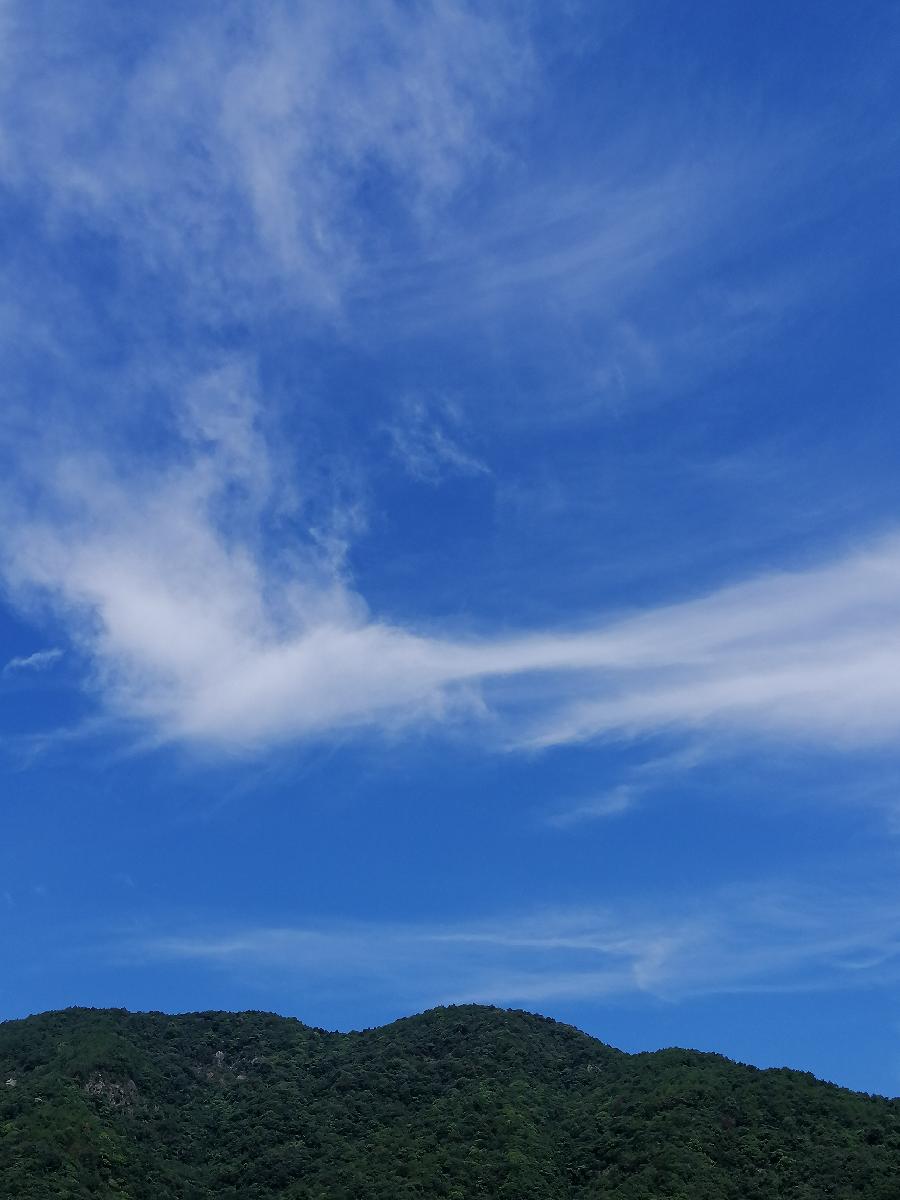 七律 长云别(三首)文/江冲(图15)