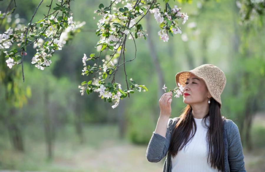 【新诗大观】季节||文/邵峰||诵/文嘉（图4）