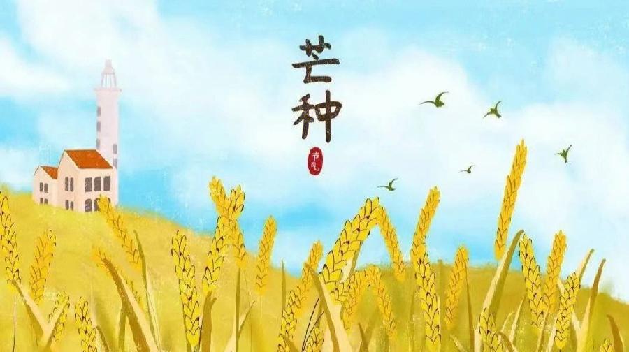 【神州源流诗苑】第965期佳词《都市头条》周刊（图5）