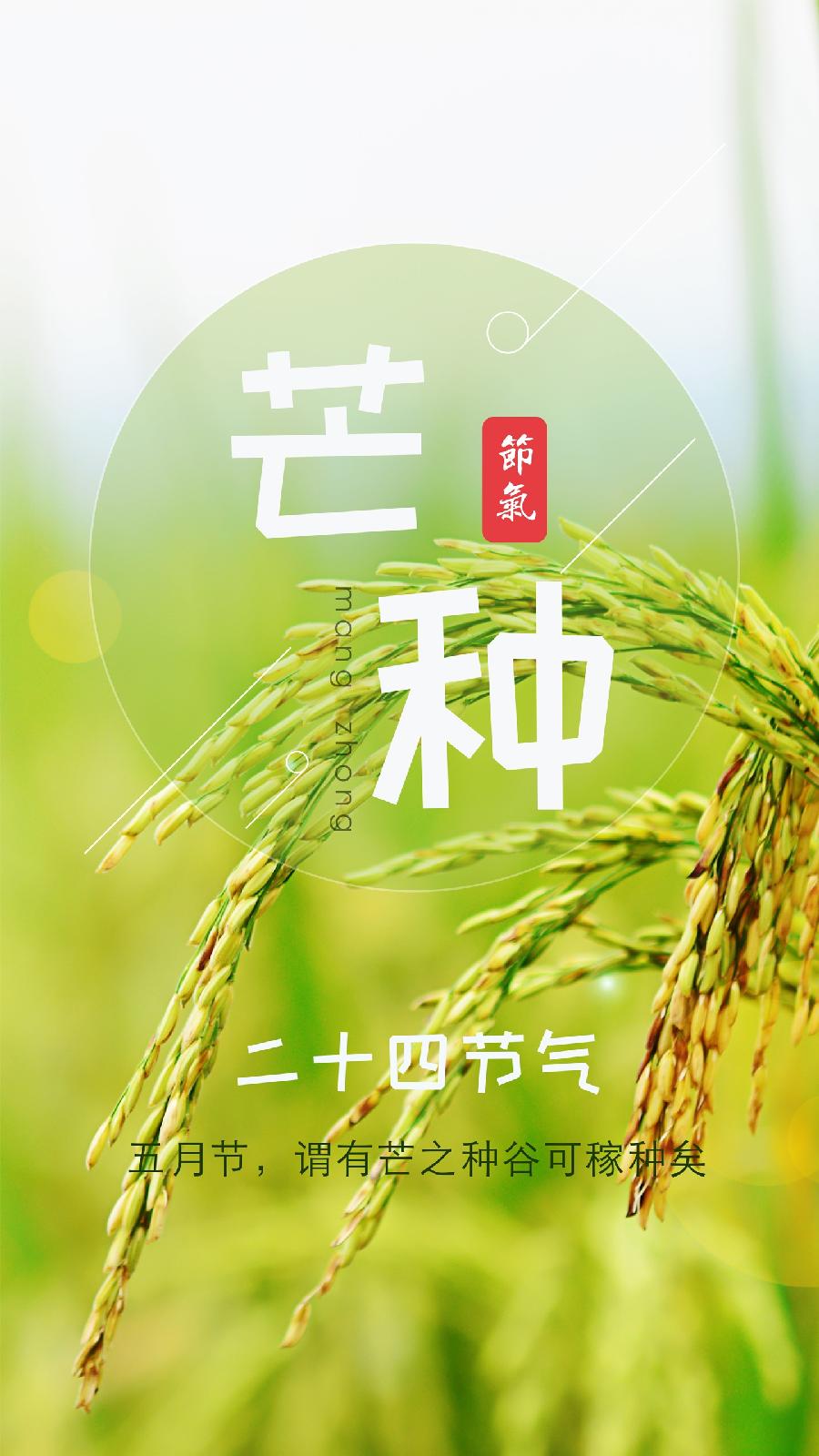 【神州源流诗苑】第965期佳词《都市头条》周刊（图4）