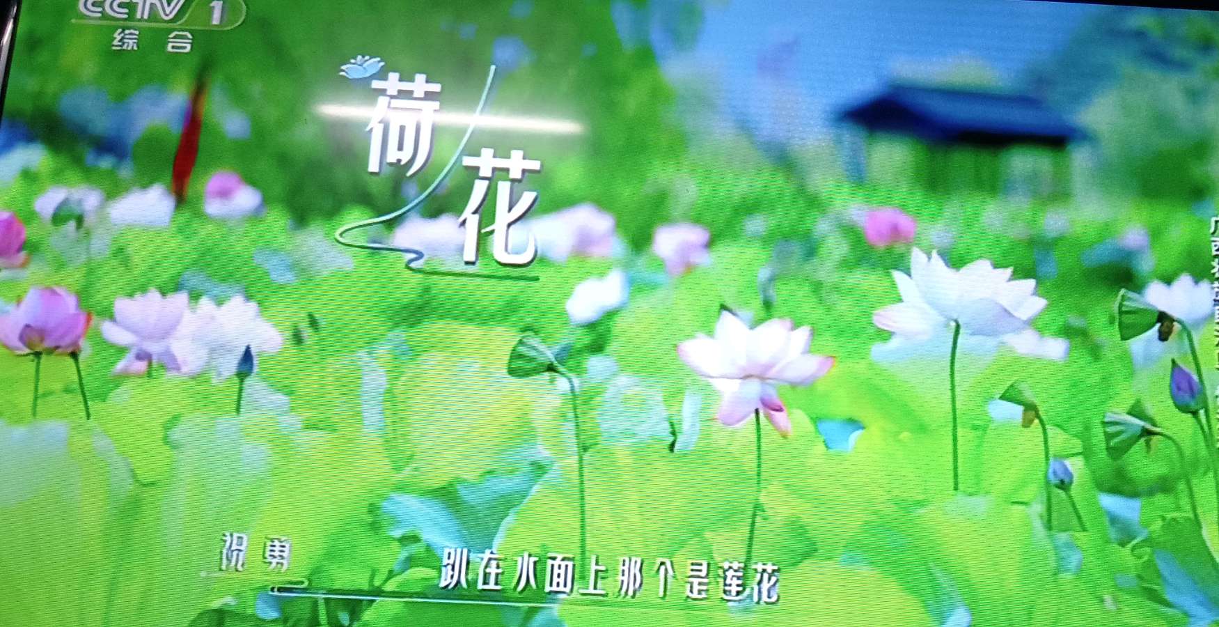 七律☆荷（图2）