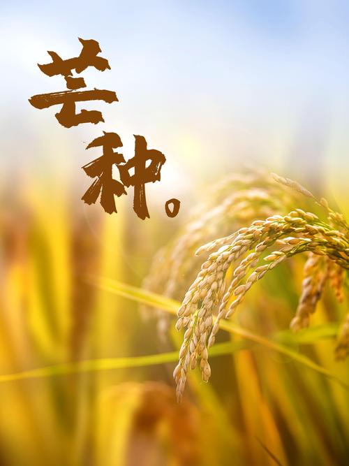 《芒种》作者:老守一井【主播:雪如玉】【桃源国际诗歌集团】用声音传递温暖以诵读致敬人生♬（图4）