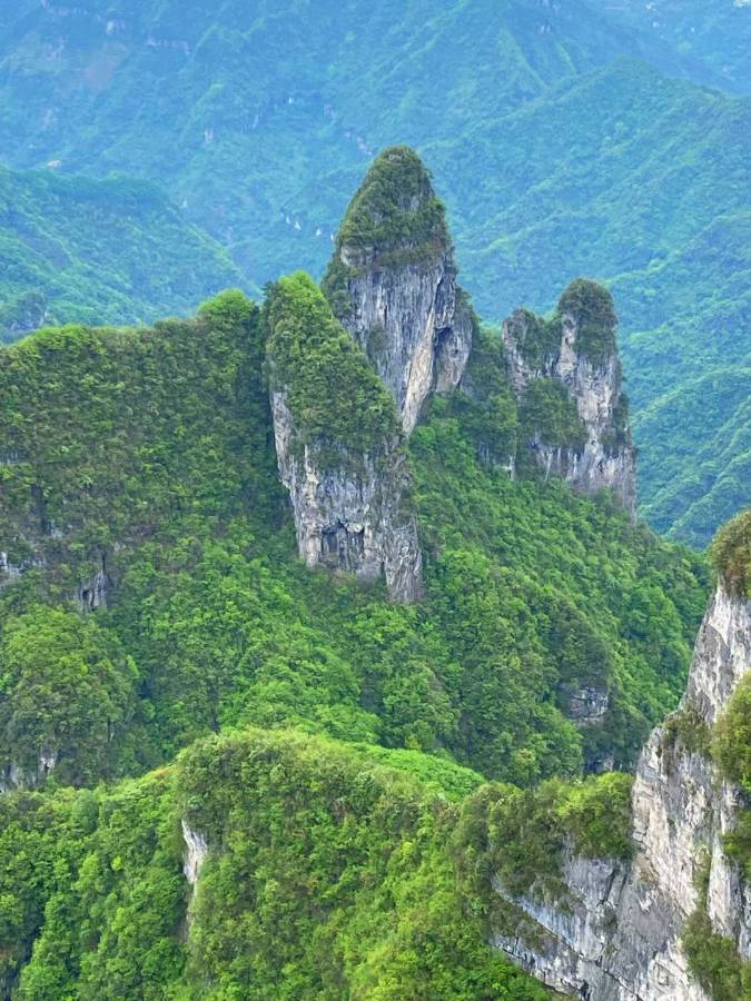 中华诗艺黑龙江分社微刊第105期(图26)