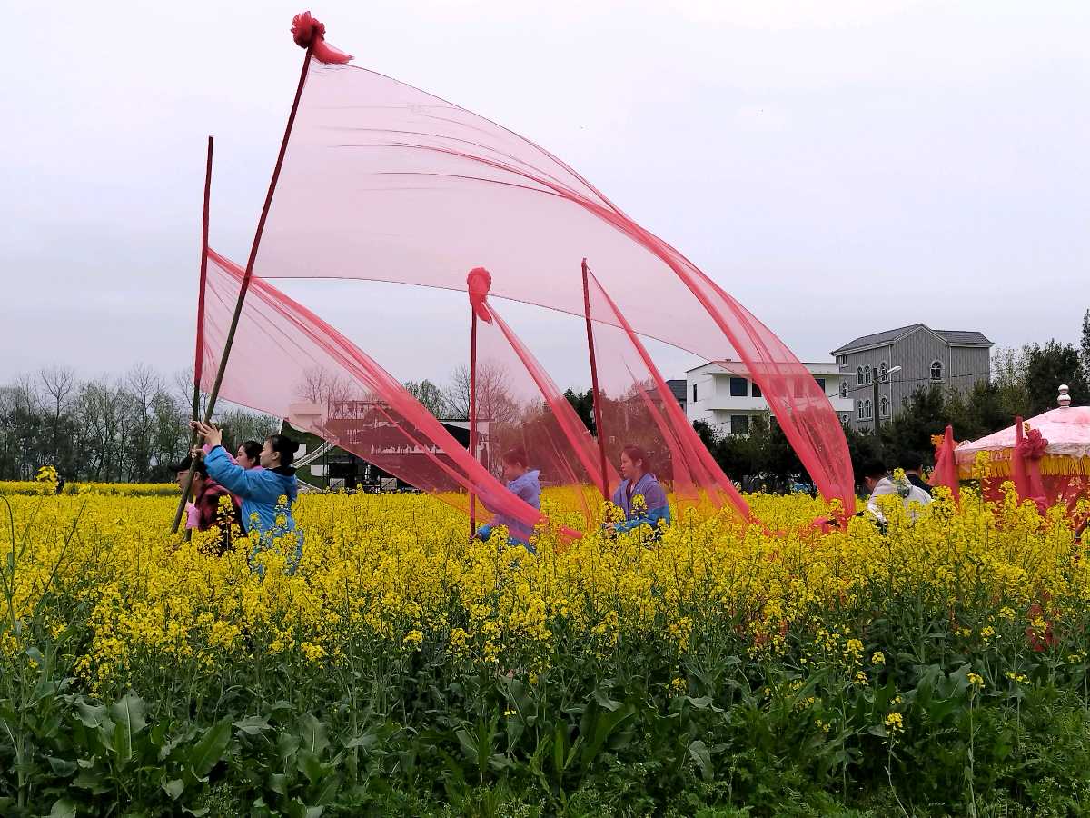 孤独的求索者——作者:杨艳艳——【世界汉诗】征稿——都市头条(图3)