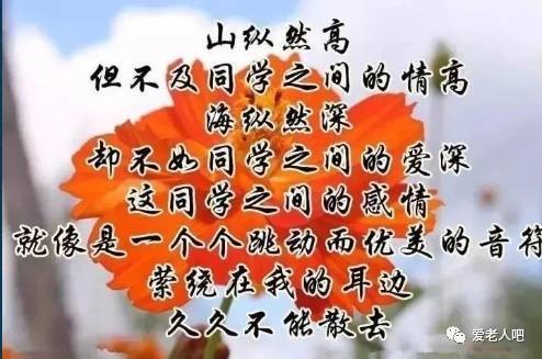 【重磅推出】鲁坡//晚岁当怀壮士情｛外七首 欣赏｝（图3）