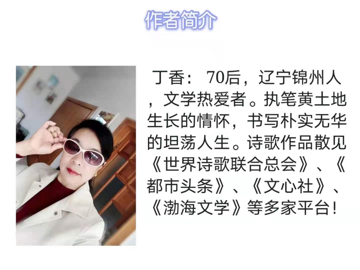 🏆2023【诗与远方】世界诗歌大赛作品展（89）丁香【美国总社】荐稿（图3）