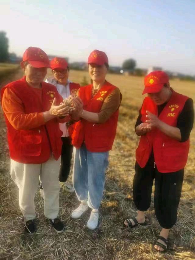 【中国新闻诗文网】界首市光武镇明珠团队志愿者助力麦收防火宣传和收割（图7）