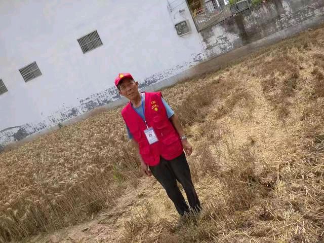 【中国新闻诗文网】界首市光武镇明珠团队志愿者助力麦收防火宣传和收割（图13）