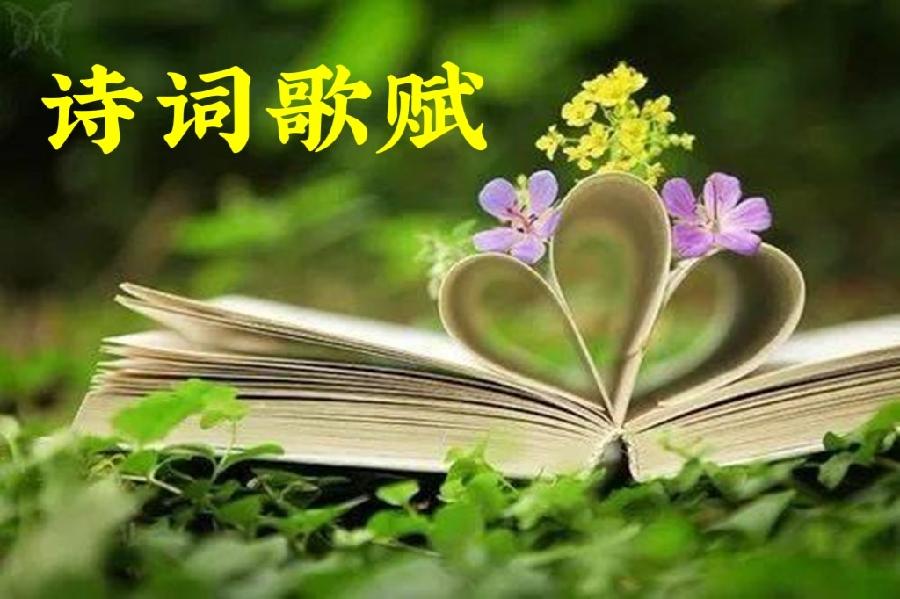【东方文学荟萃】鹧鸪天九首文/善上若水（图3）