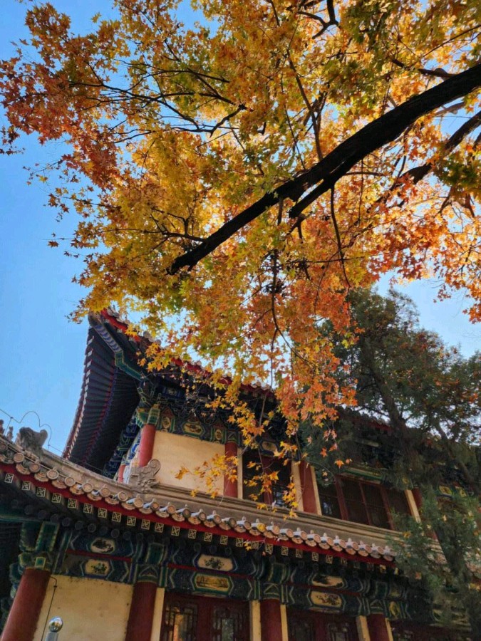 高考特刊 ‖【学府象牙塔】作者/郑晓边 朗诵/有一天（图9）