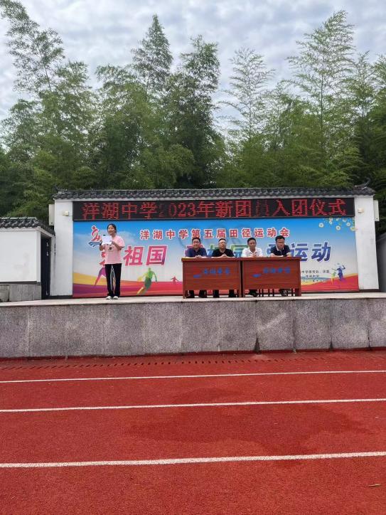 图片5 图片5