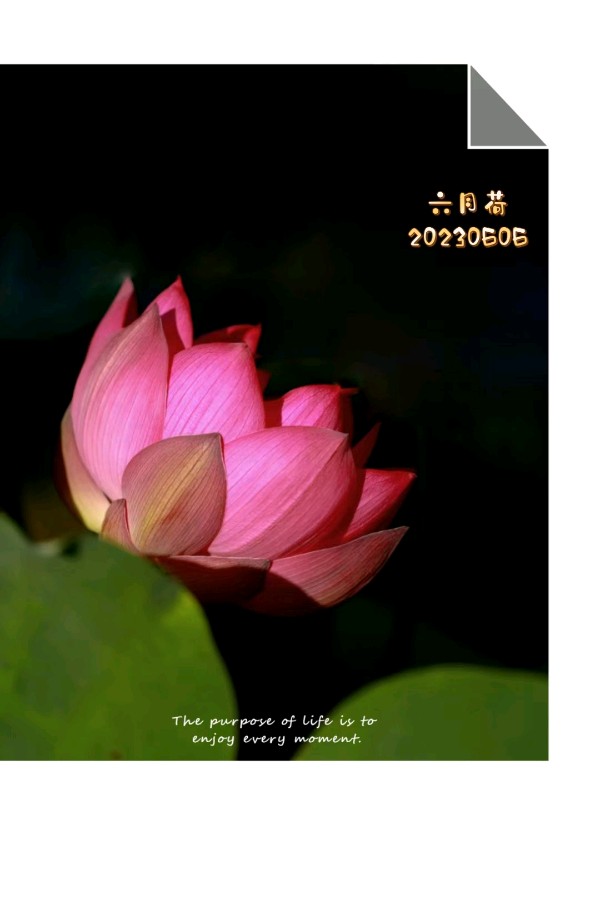 梅尔朗诵【六月的心事】作者/六月荷（图6）