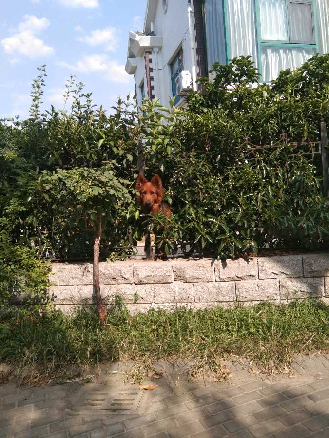 心尘文艺 第938期