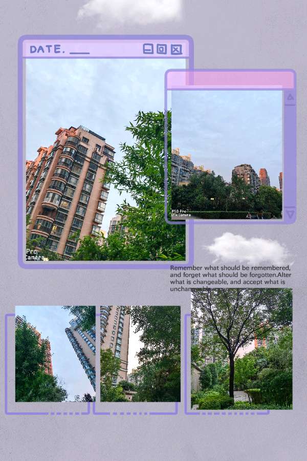 【✍锦园·随記】b28《📸摄影長安》（第六集）（图9）
