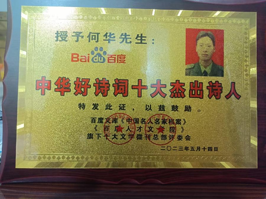 何华:你最美丽(荷花季节新鲜作品)