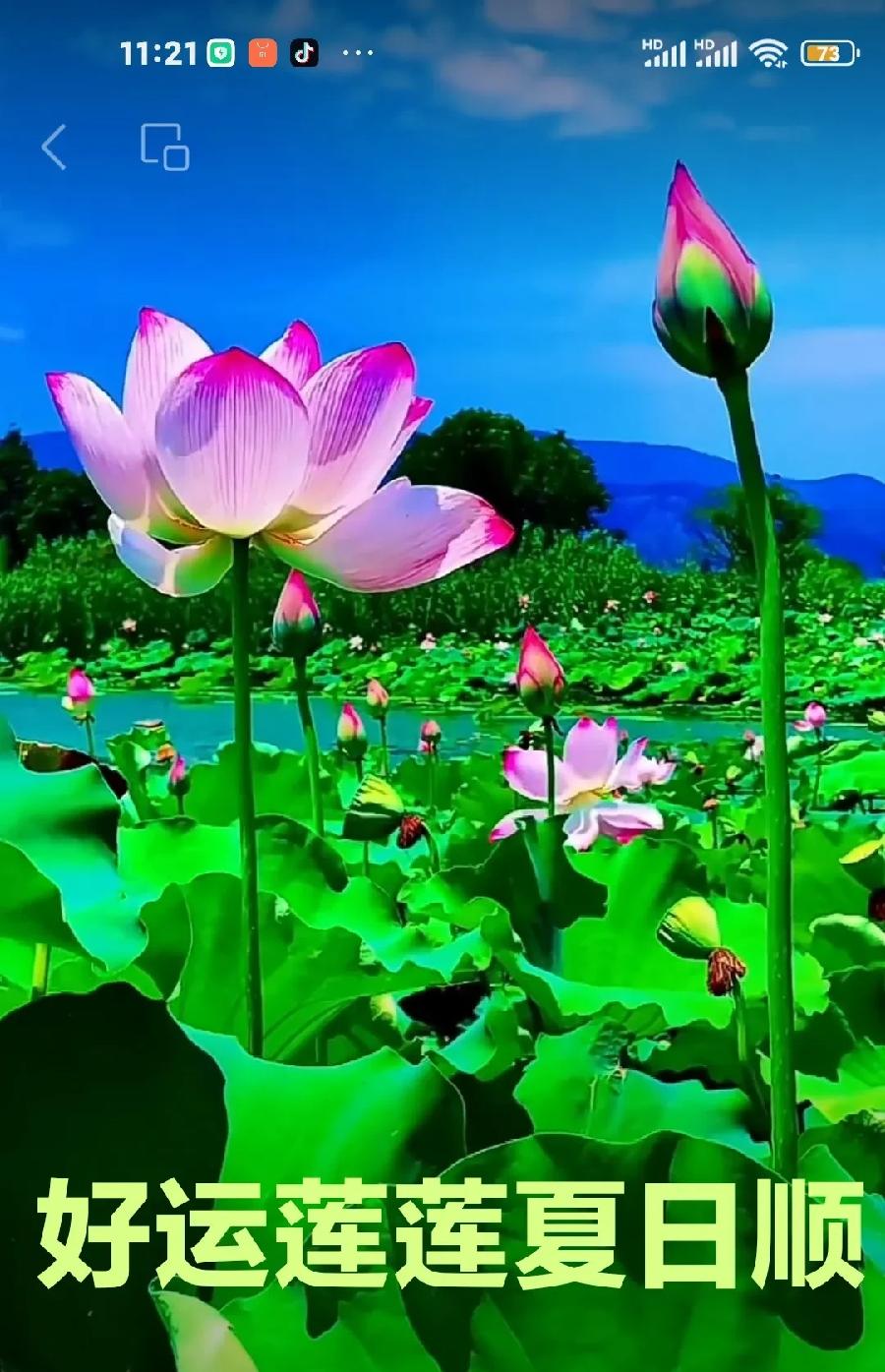 【神州源流诗苑】第968期佳词《都市头条》周刊(图9)