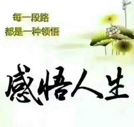 诗歌专辑——作者：水云居士——【世界汉诗】征稿——都市头条（图7）