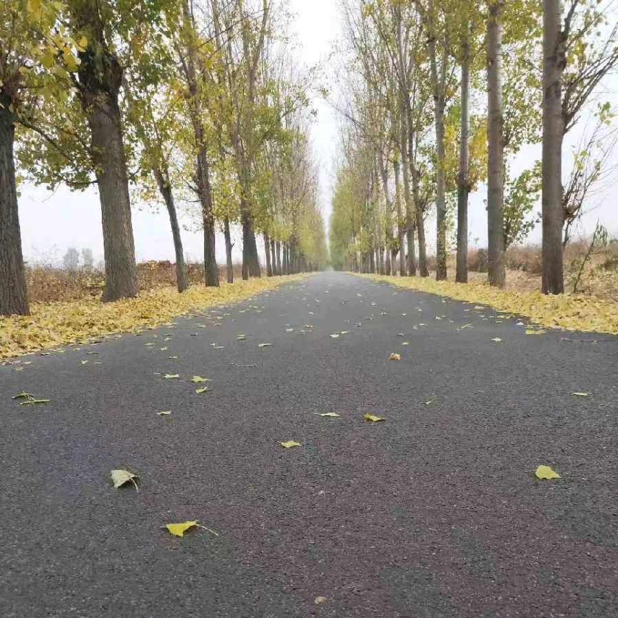 迟来的表白（图3）