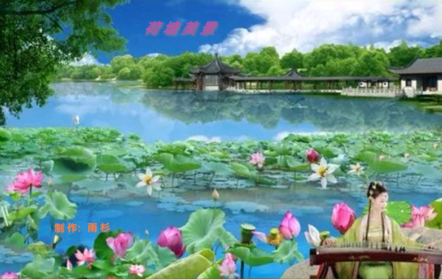 《荷塘》作者/张维清 诵读/馨睿 编辑/五指山【花雨馨声】有声文学平台【第372期】（图5）