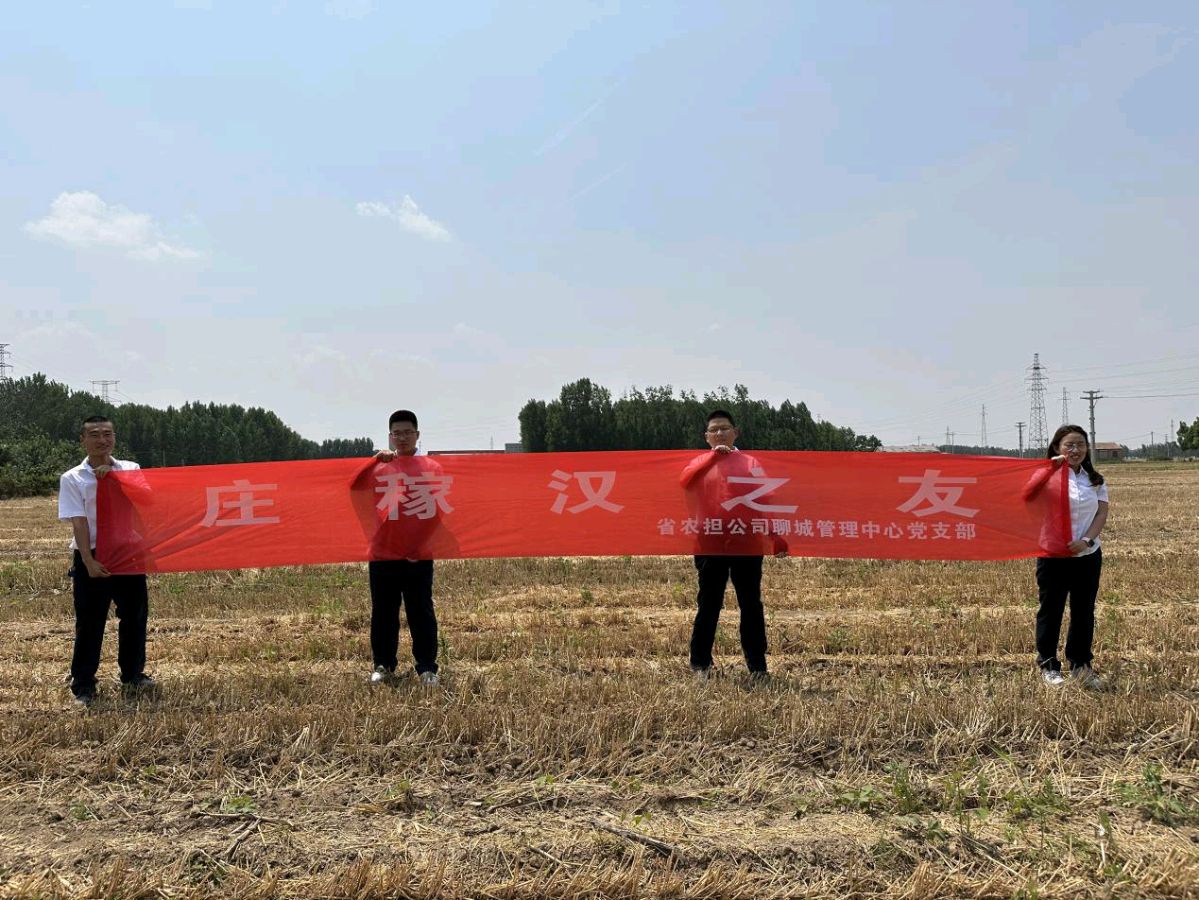 不惧酷暑战三夏 齐心协力保粮安——省农担聊城管理中心党支部扎实开展庄稼汉之友助三夏攻坚行动